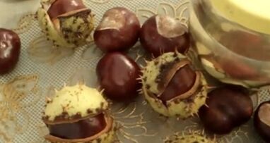 The use of horse chestnut for the treatment of varicose veins